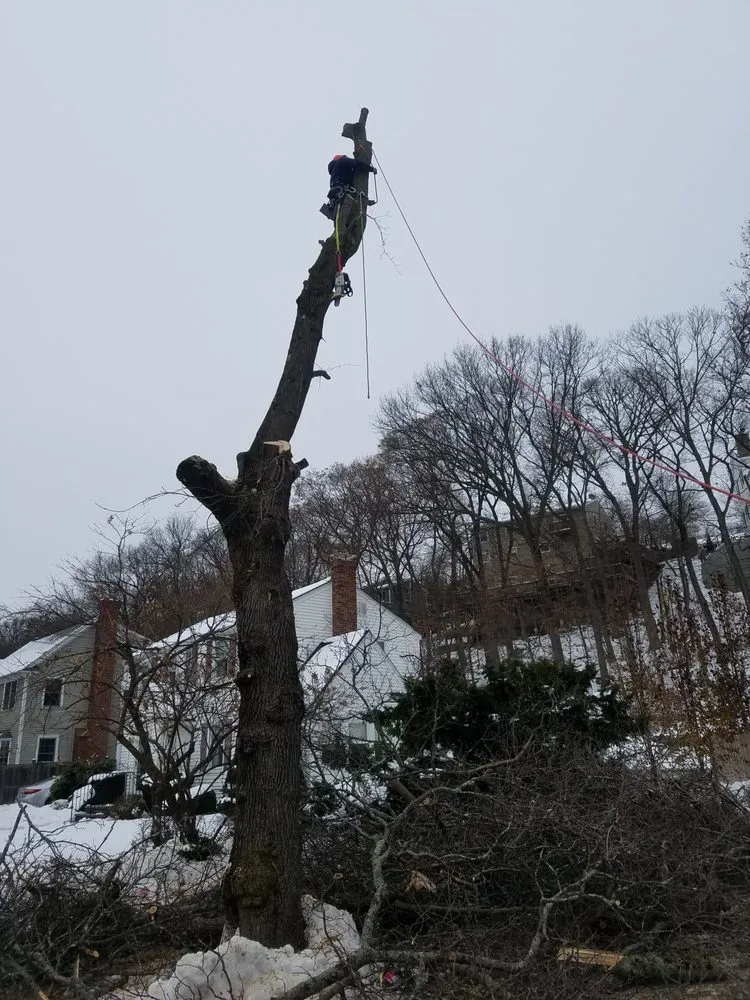 Local landscape installation in Waltham, MA - D&G Landscape Masonry