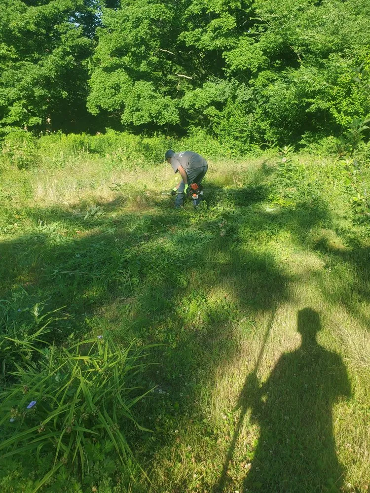 Local garden landscaping in Waltham, MA - D&G Landscape Masonry