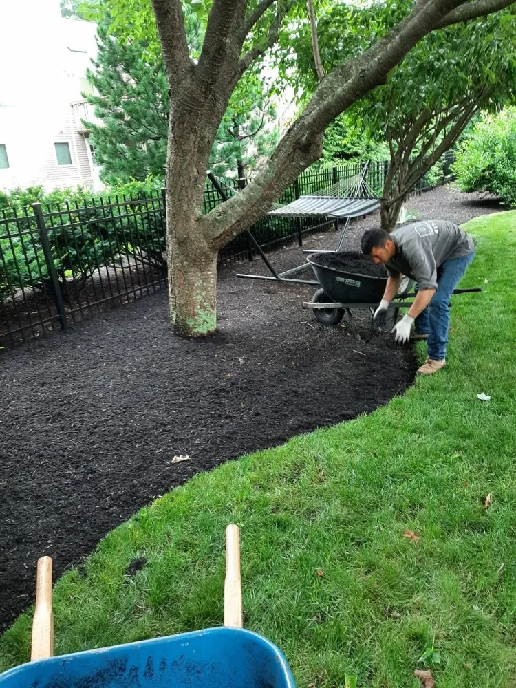Custom yard cleanup service near you in Waltham, MA by D&G Landscape Masonry