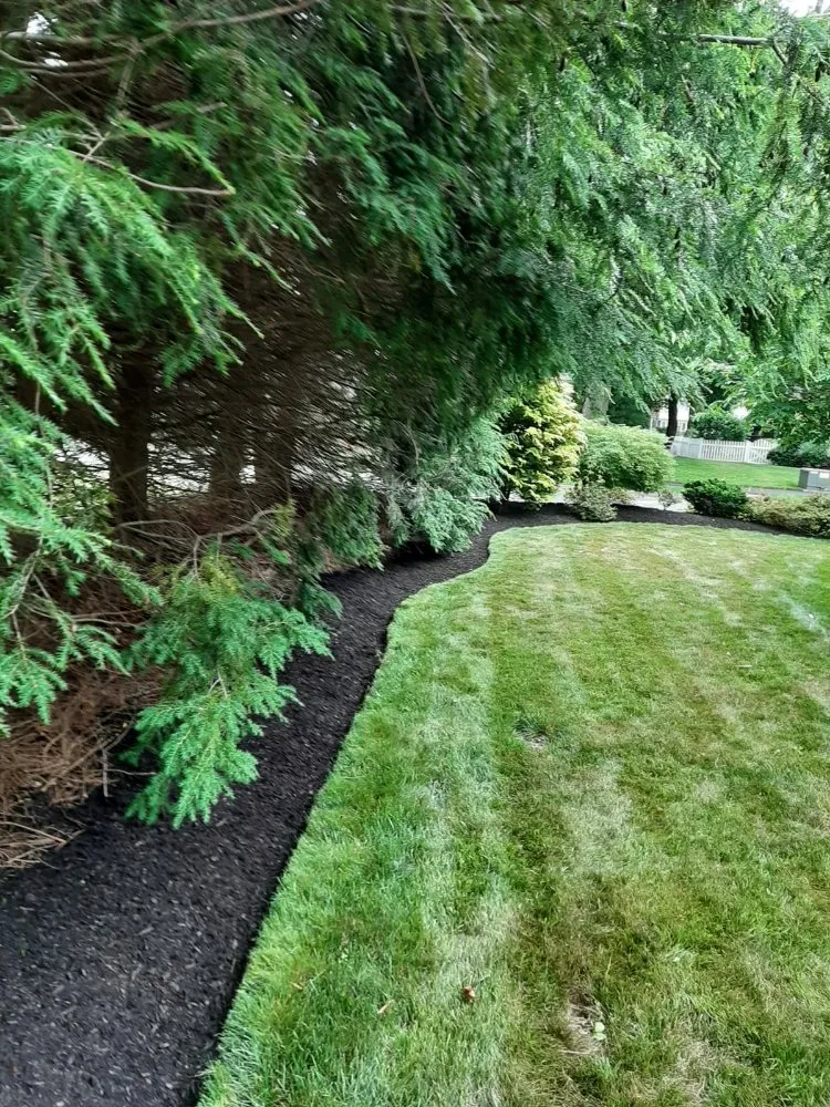 Professional outdoor landscaping for outdoor upgrades across Waltham, MA - D&G Landscape Masonry
