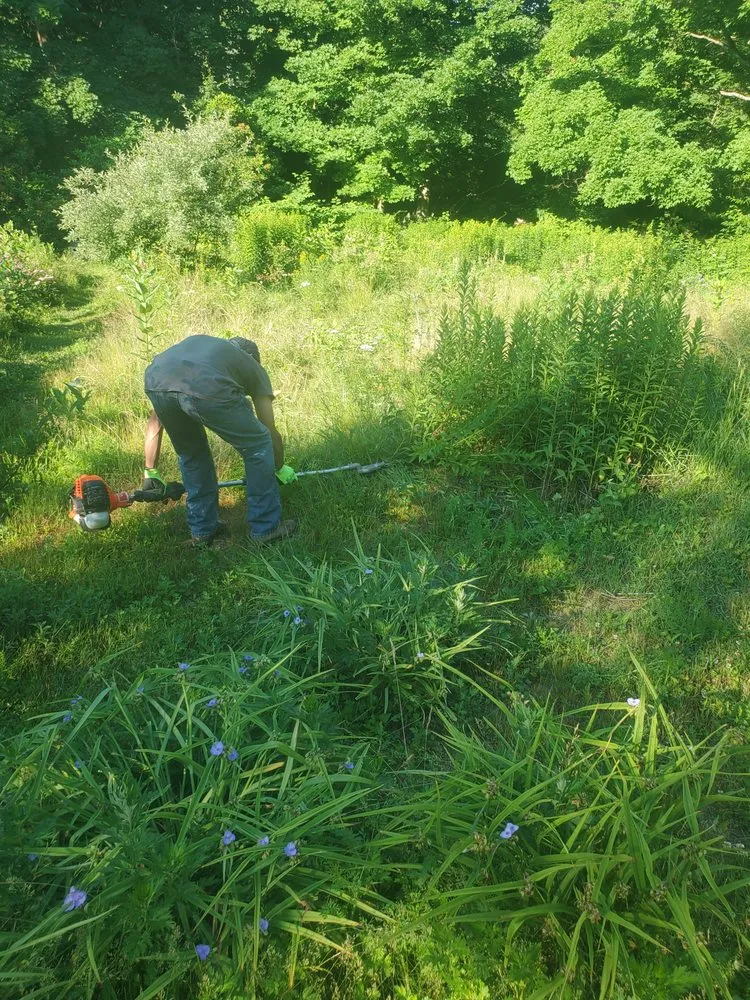 Local outdoor landscaping experts serving Waltham, MA - D&G Landscape Masonry