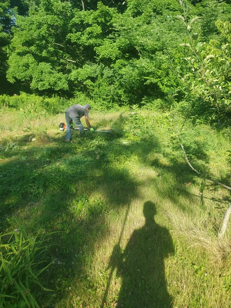 Reliable yard cleanup service for residential properties across Waltham, MA - D&G Landscape Masonry