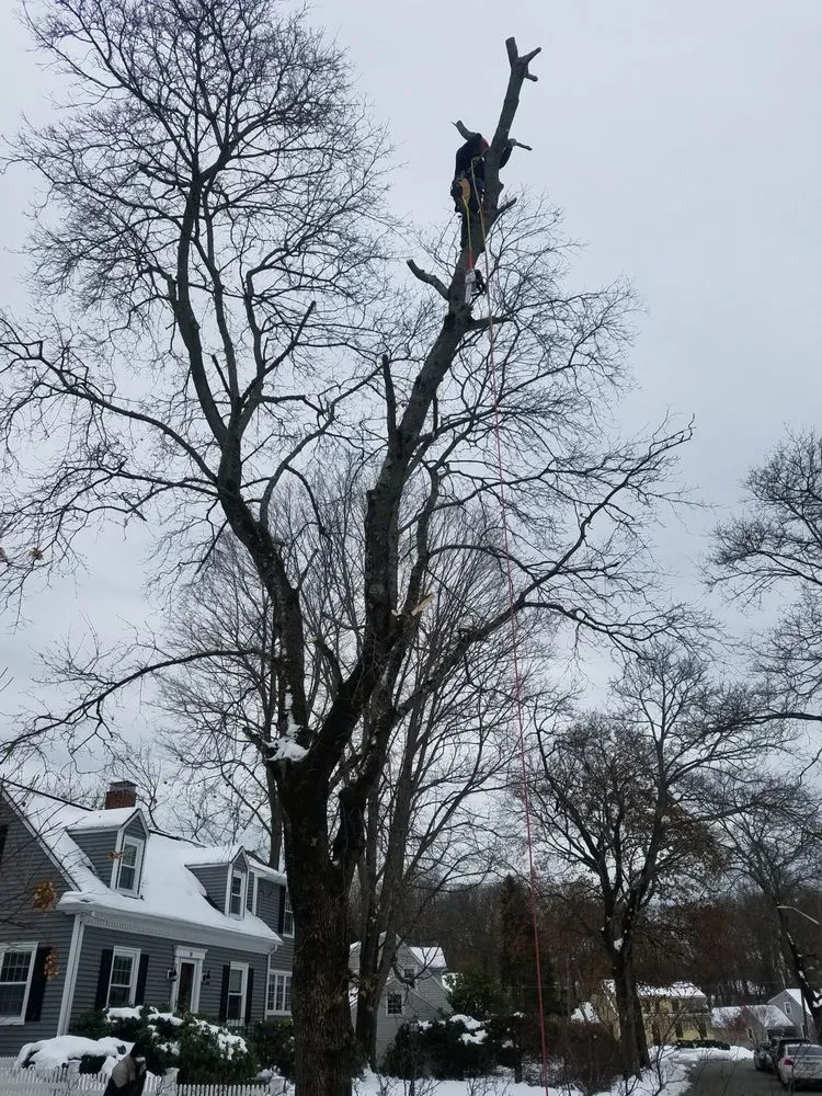 Custom residential landscaping near you in Waltham, MA by D&G Landscape Masonry