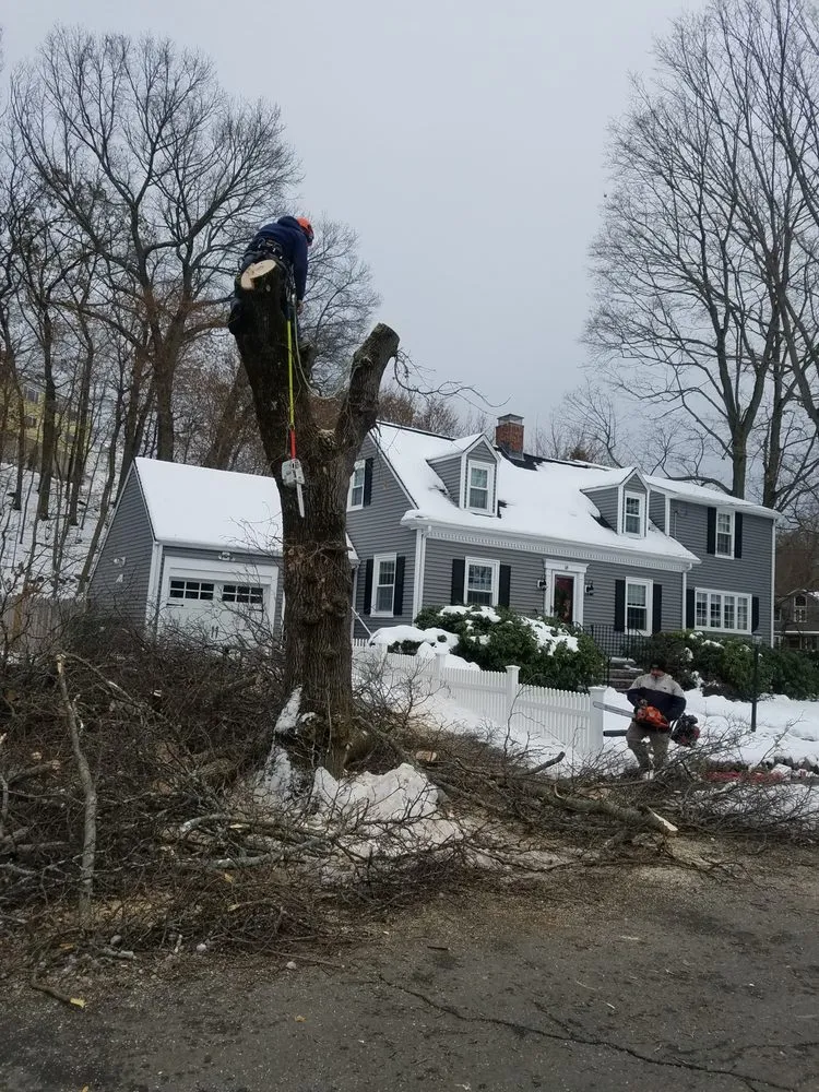 Top-rated residential landscaping in Waltham, MA - D&G Landscape Masonry