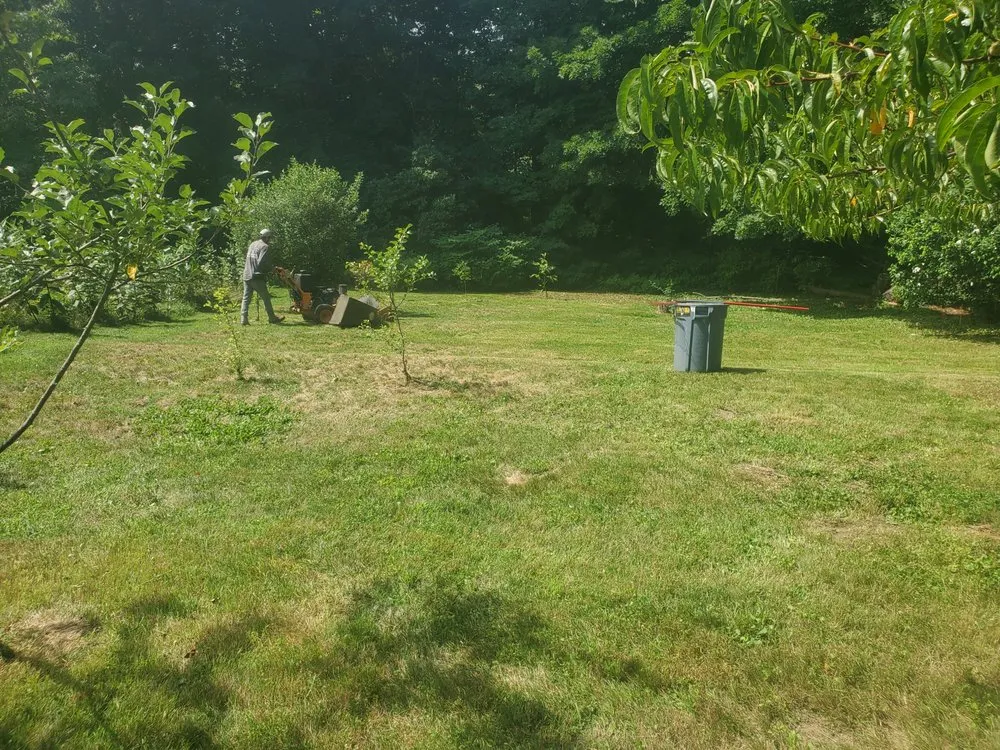 Top-rated lawn mowing service in Waltham, MA - D&G Landscape Masonry
