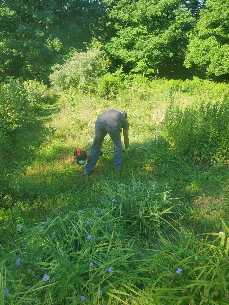 Trusted garden landscaping for homes in Waltham, MA by D&G Landscape Masonry