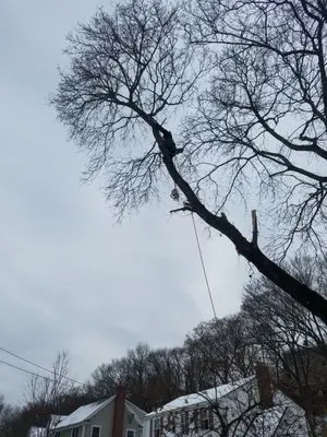 D&G Landscape Masonry Logo