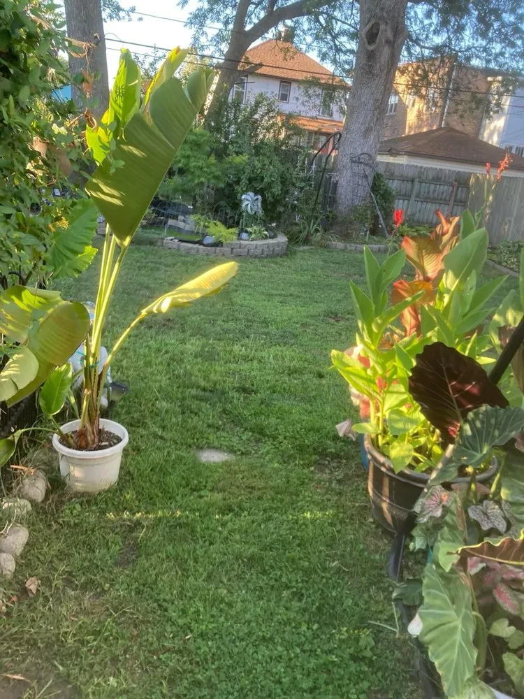 Trusted landscaping services for homes across Lake Station, IN - D&G Landscape/Maintenance