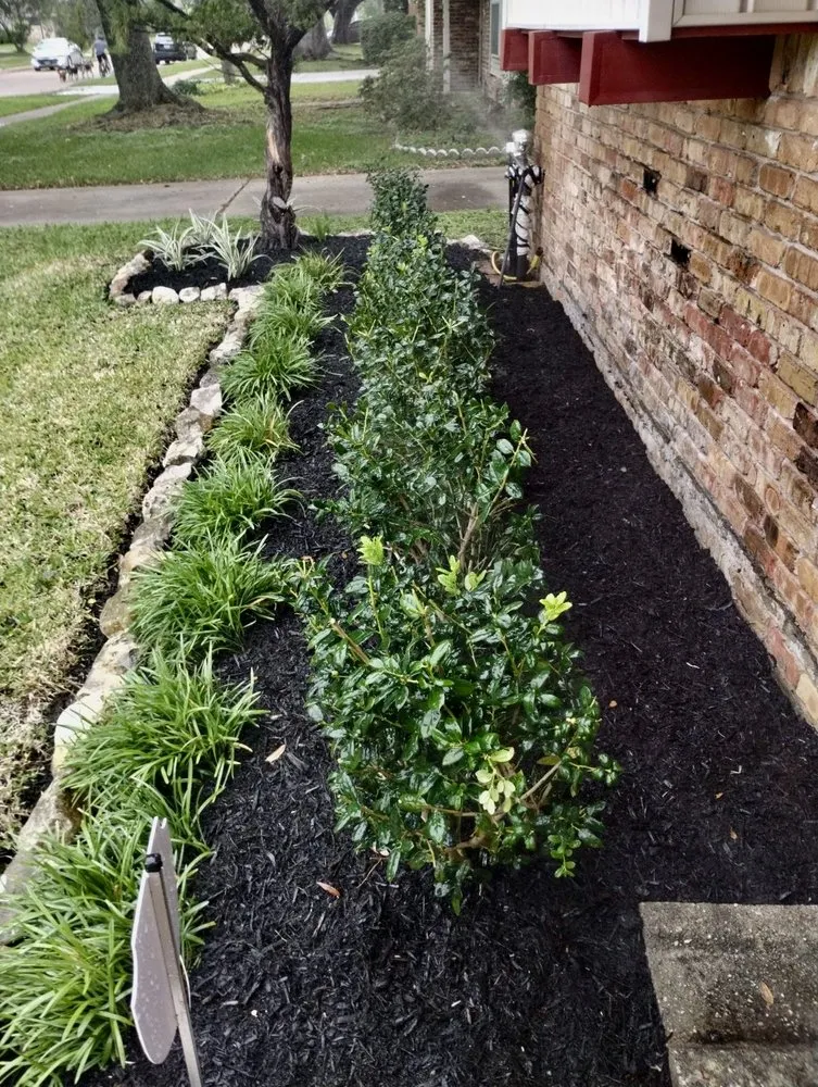 Custom yard cleanup service experts serving Houston, TX - D&G Landscaping & Design