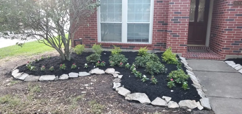 Affordable yard cleanup service experts serving Houston, TX - D&G Landscaping & Design