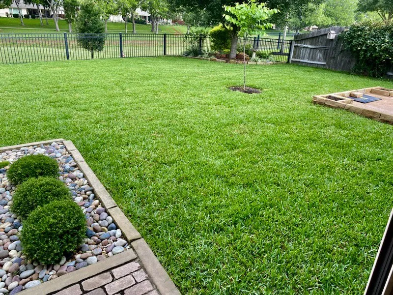 Top-rated landscaping services in Houston, TX - D&G Landscaping & Design