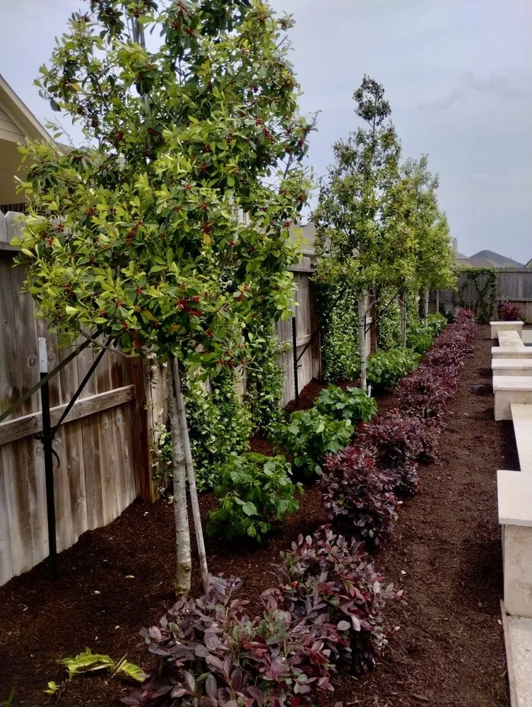 Custom yard cleanup service for homes across Houston, TX - D&G Landscaping & Design