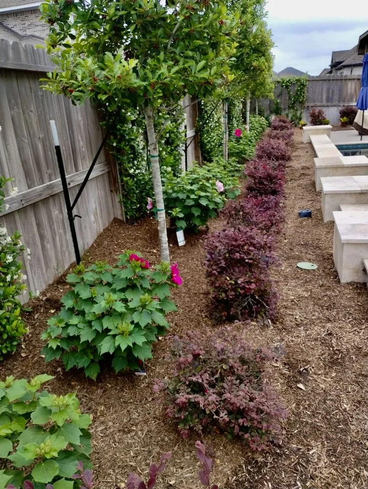 Expert landscaping services in Houston, TX by D&G Landscaping & Design