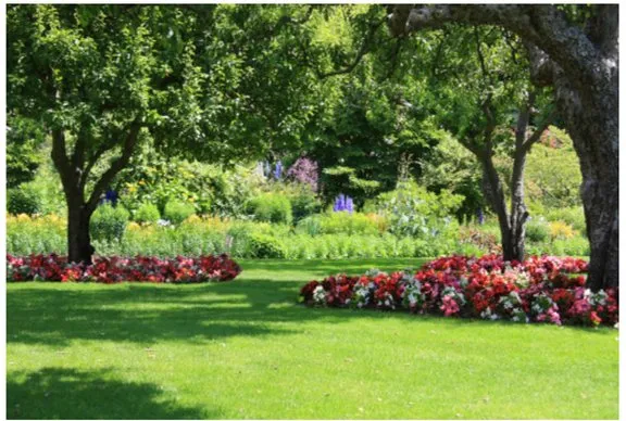 Custom landscaping services for year-round maintenance in Perris, CA by DG Landscaping & Maintenance