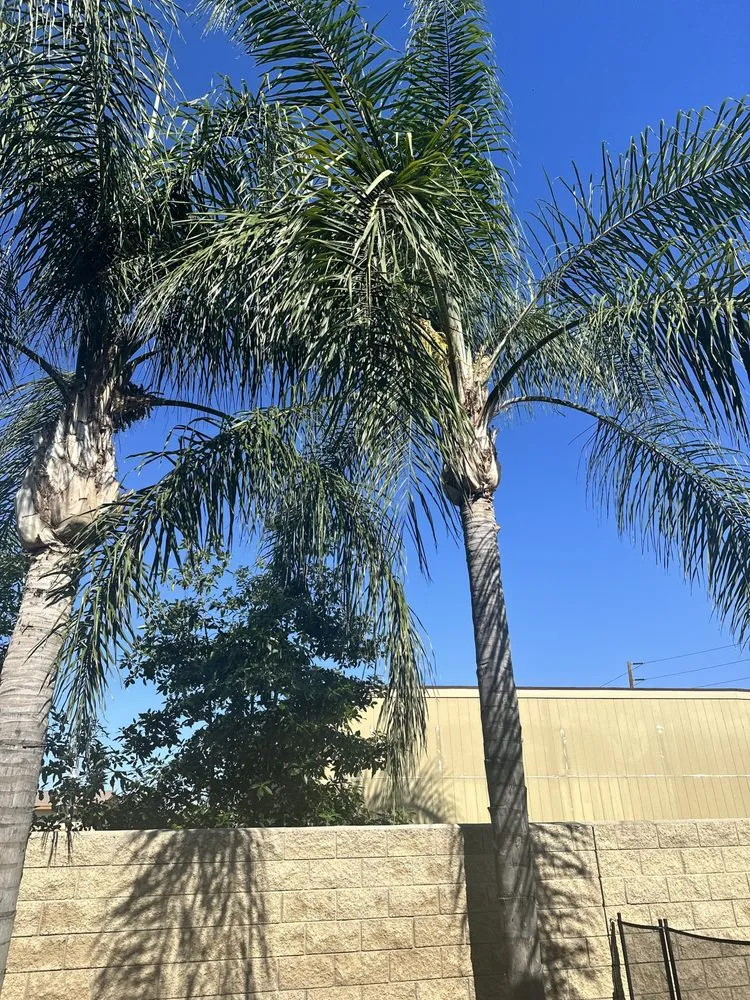 Top-rated outdoor landscaping in Jurupa Valley, CA by D&G Landscaping & Tree Service