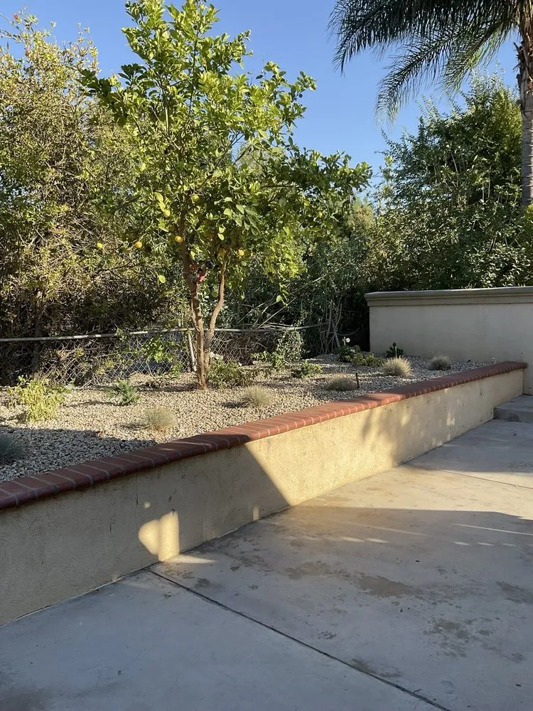 Custom lawn care service for beautiful yards across Jurupa Valley, CA - D&G Landscaping & Tree Service