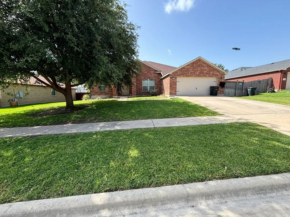 Affordable residential landscaping in Killeen, TX by DG Lawn Experts