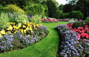 Top-rated landscape installation for year-round maintenance across OakLeaf Plantation, FL - DG Lawn Maintenance