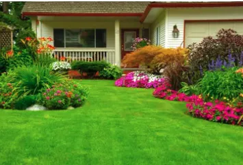 Custom lawn mowing service for year-round maintenance across OakLeaf Plantation, FL - DG Lawn Maintenance