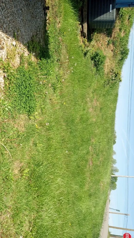 Reliable yard cleanup service with custom design across Monticello, KY - DG LawnCare