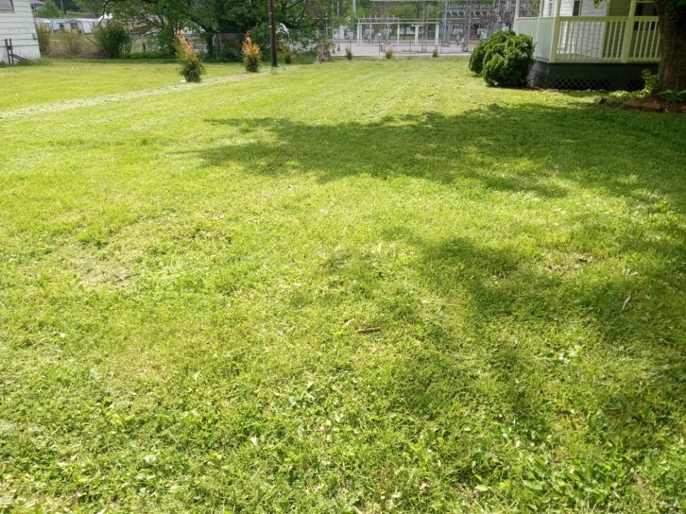 Reliable garden landscaping in Monticello, KY by DG LawnCare