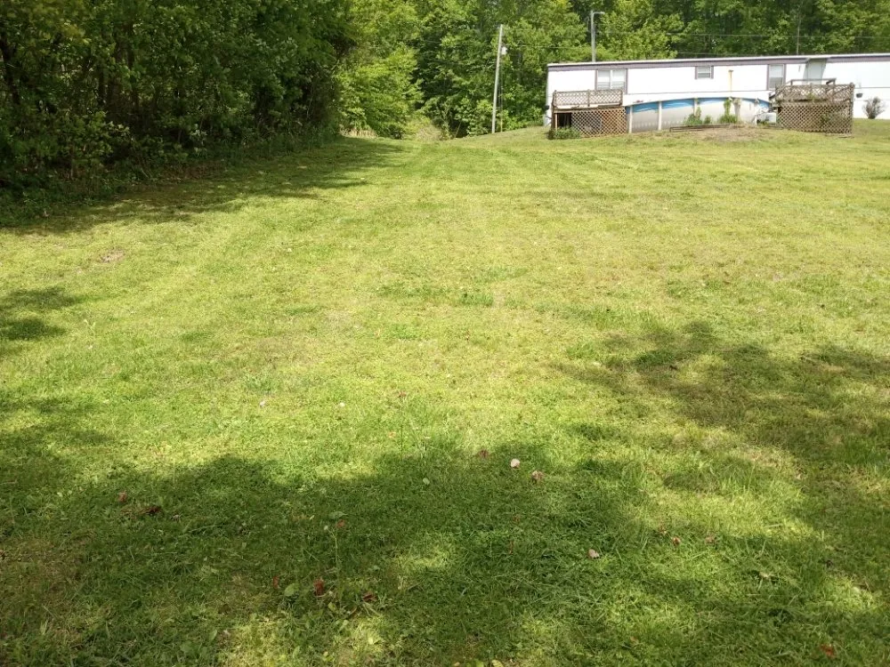 Trusted yard cleanup service in Monticello, KY by DG LawnCare