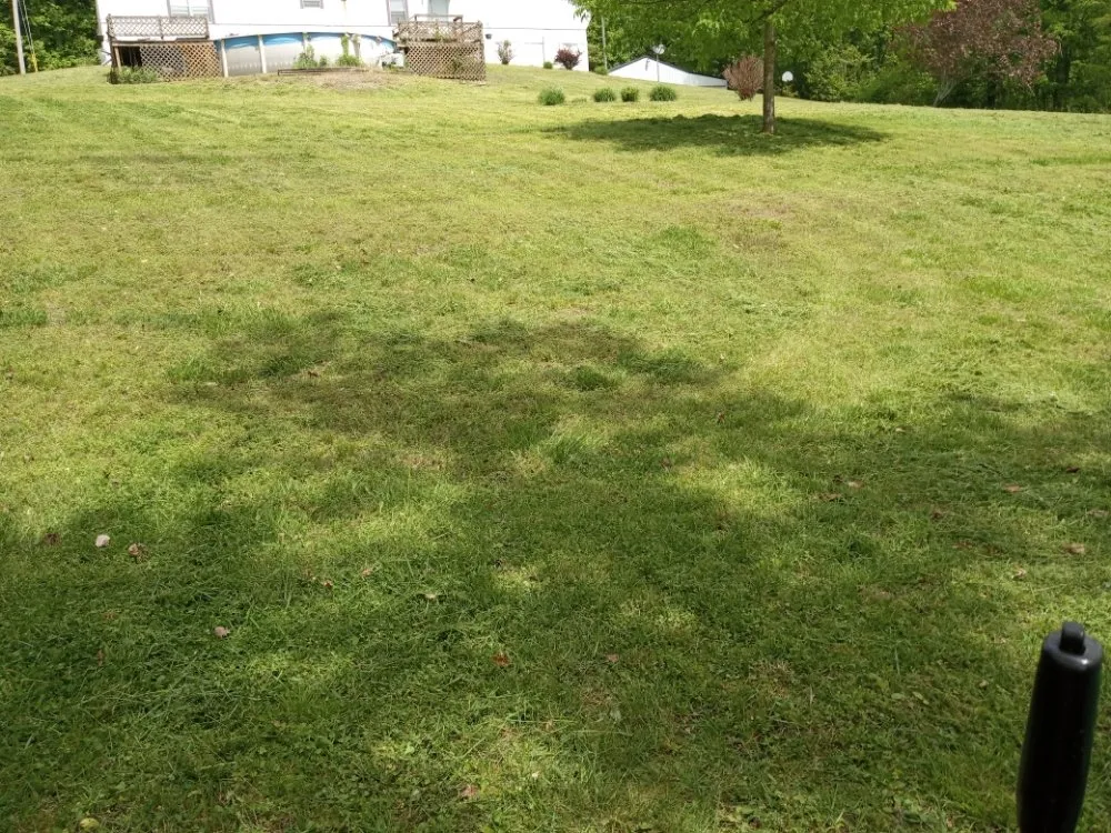 Expert residential landscaping in Monticello, KY by DG LawnCare