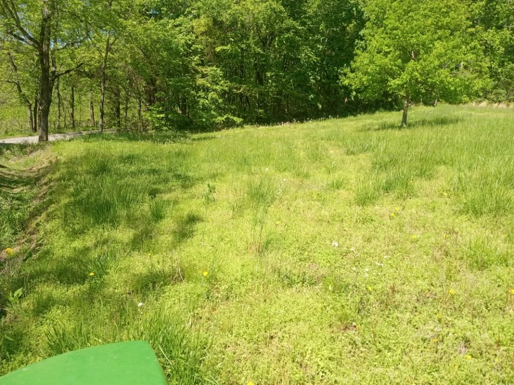 Local landscaping services in Monticello, KY - DG LawnCare