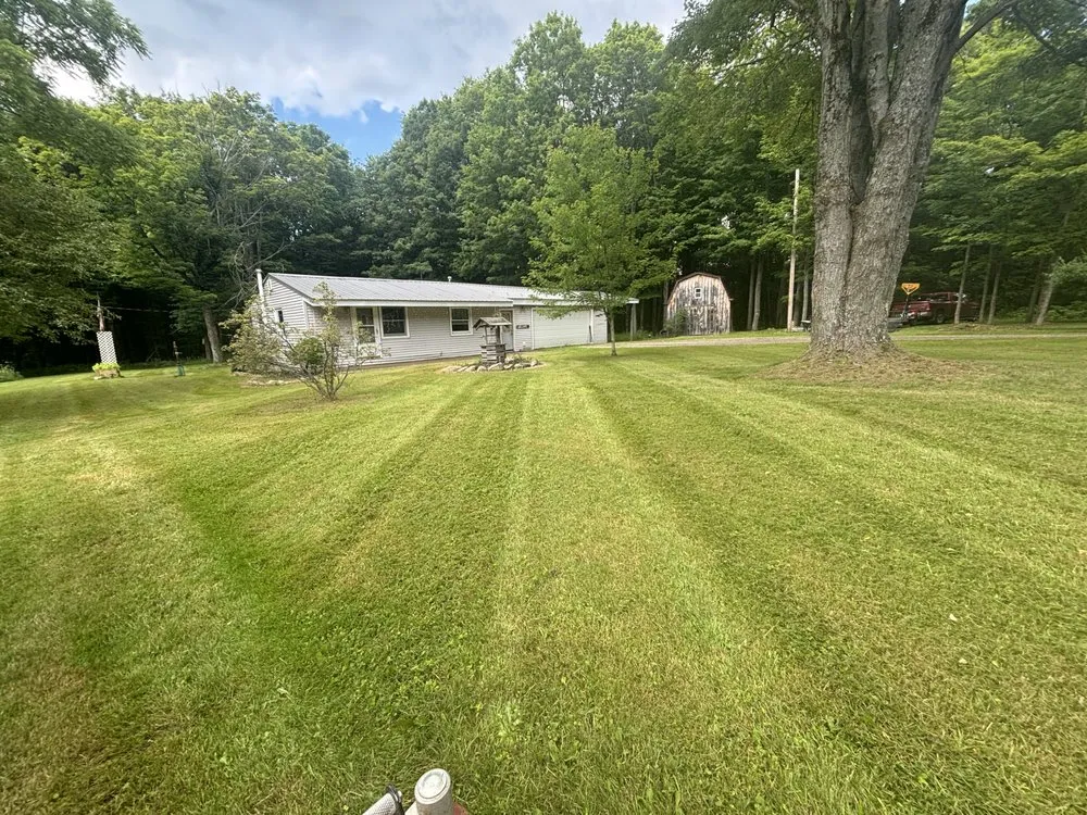Professional yard maintenance experts serving South Dayton, NY - DG Lawncare
