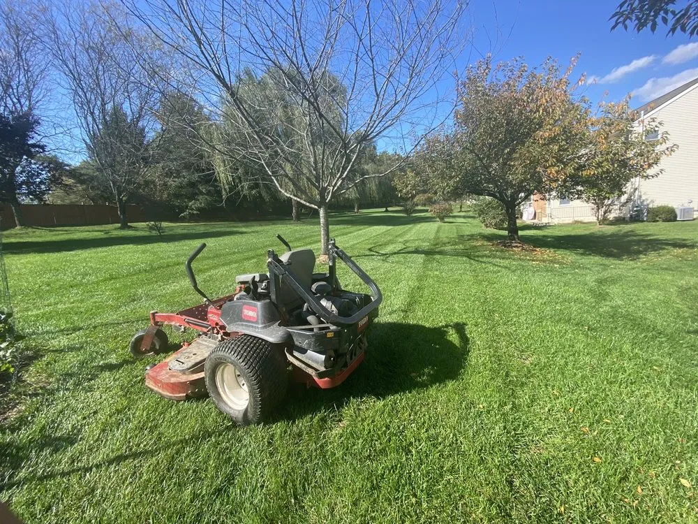 Reliable lawn care service experts serving Manassas Park, VA - D&G Morales Landscaping