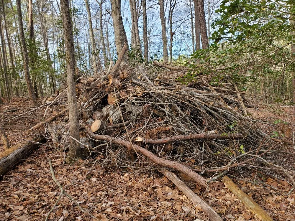 Affordable outdoor landscaping in Chester, VA by D&G Multi Services