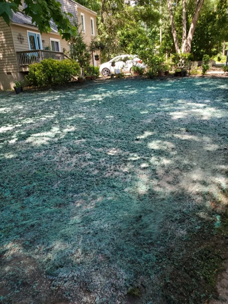 Local landscape installation in Chester, VA - D&G Multi Services