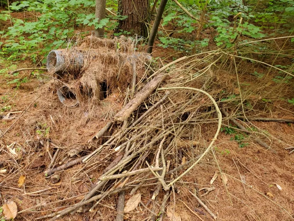 Trusted garden landscaping near you across Chester, VA - D&G Multi Services