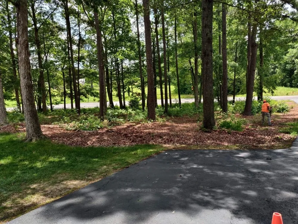 Affordable landscaping services with custom design across Chester, VA - D&G Multi Services