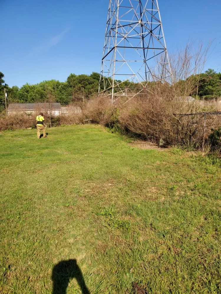 Professional landscape design in Chester, VA - D&G Multi Services