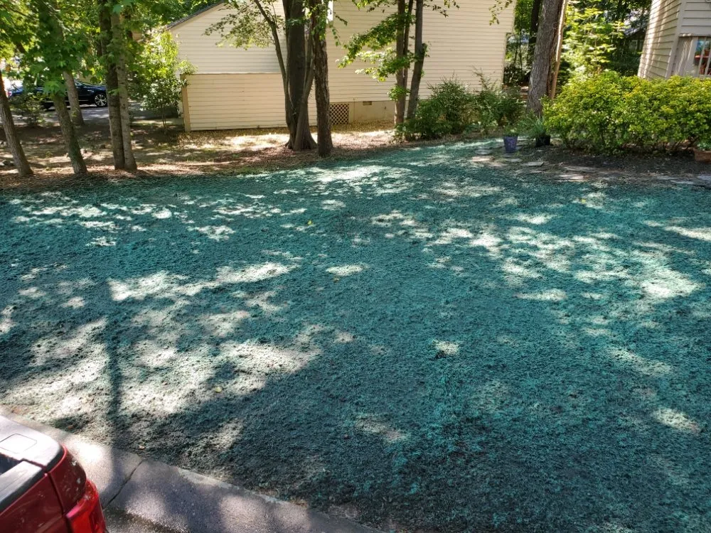 Expert residential landscaping near you across Chester, VA - D&G Multi Services