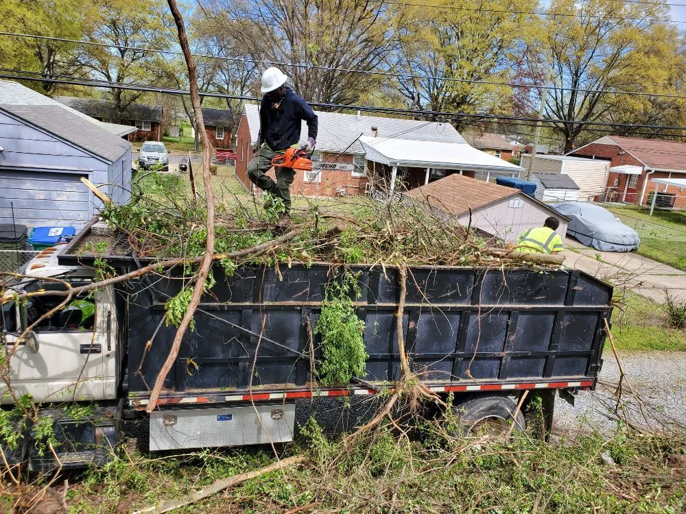 Affordable landscaping services near you in Chester, VA by D&G Multi Services