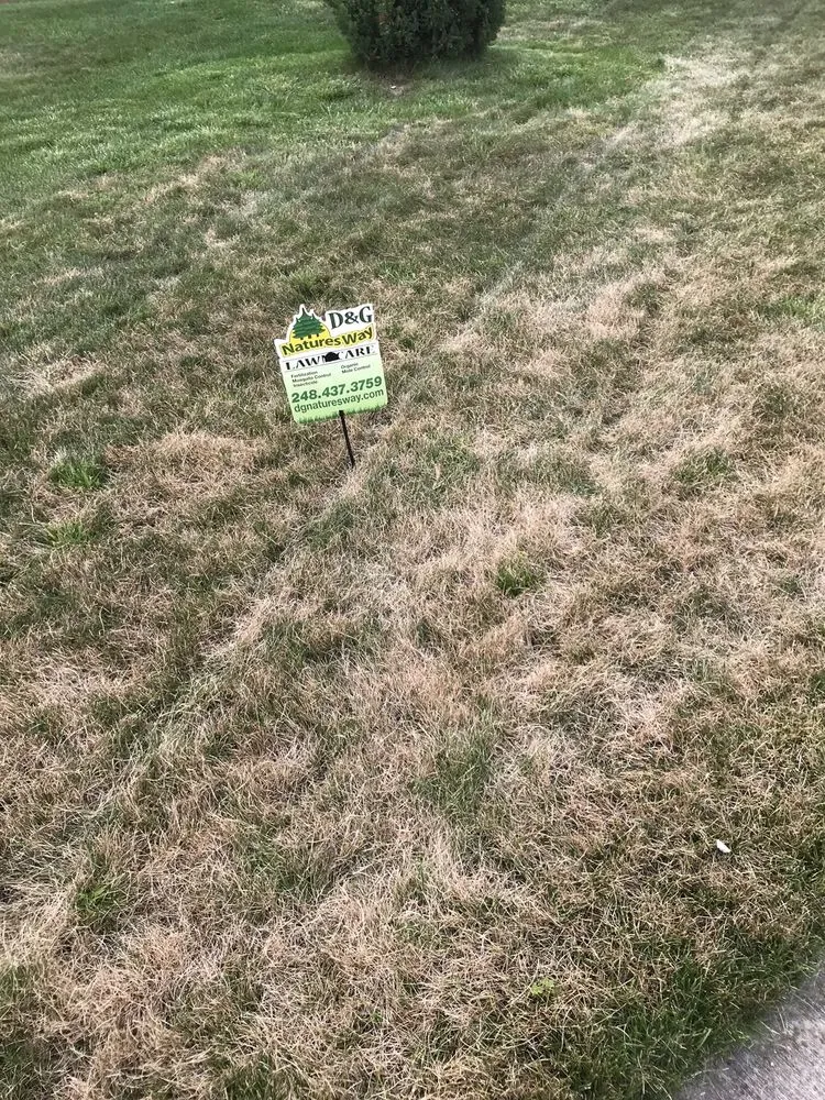 Top-rated yard cleanup service in South Lyon, MI by D&G Natures Way Lawn Care