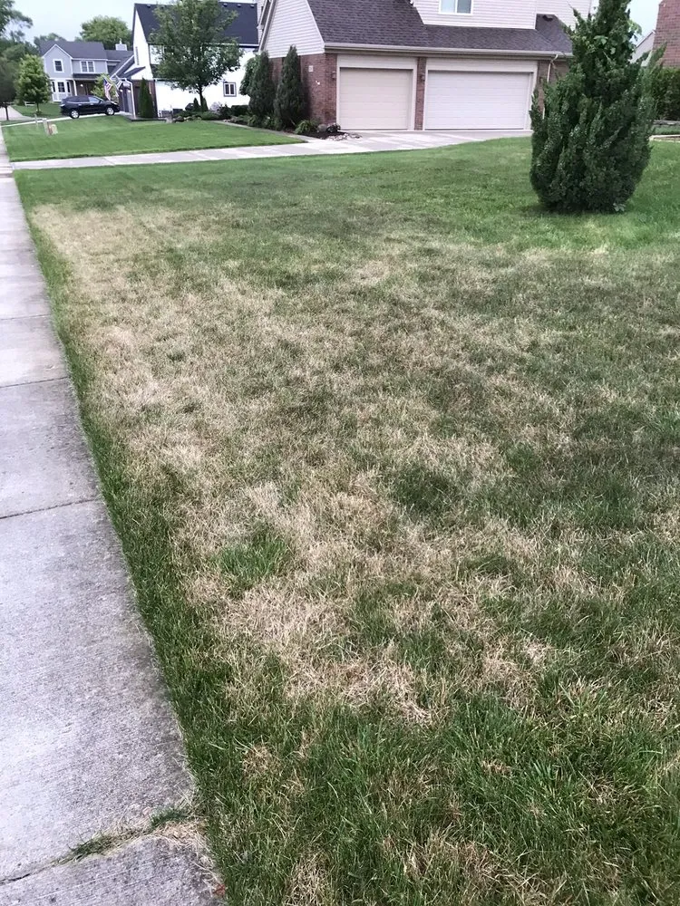 Affordable landscape installation in South Lyon, MI by D&G Natures Way Lawn Care