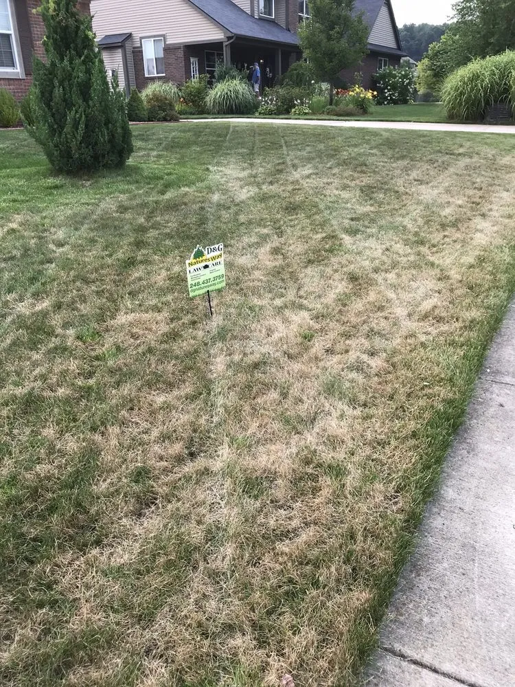 Reliable yard maintenance for year-round maintenance across South Lyon, MI - D&G Natures Way Lawn Care