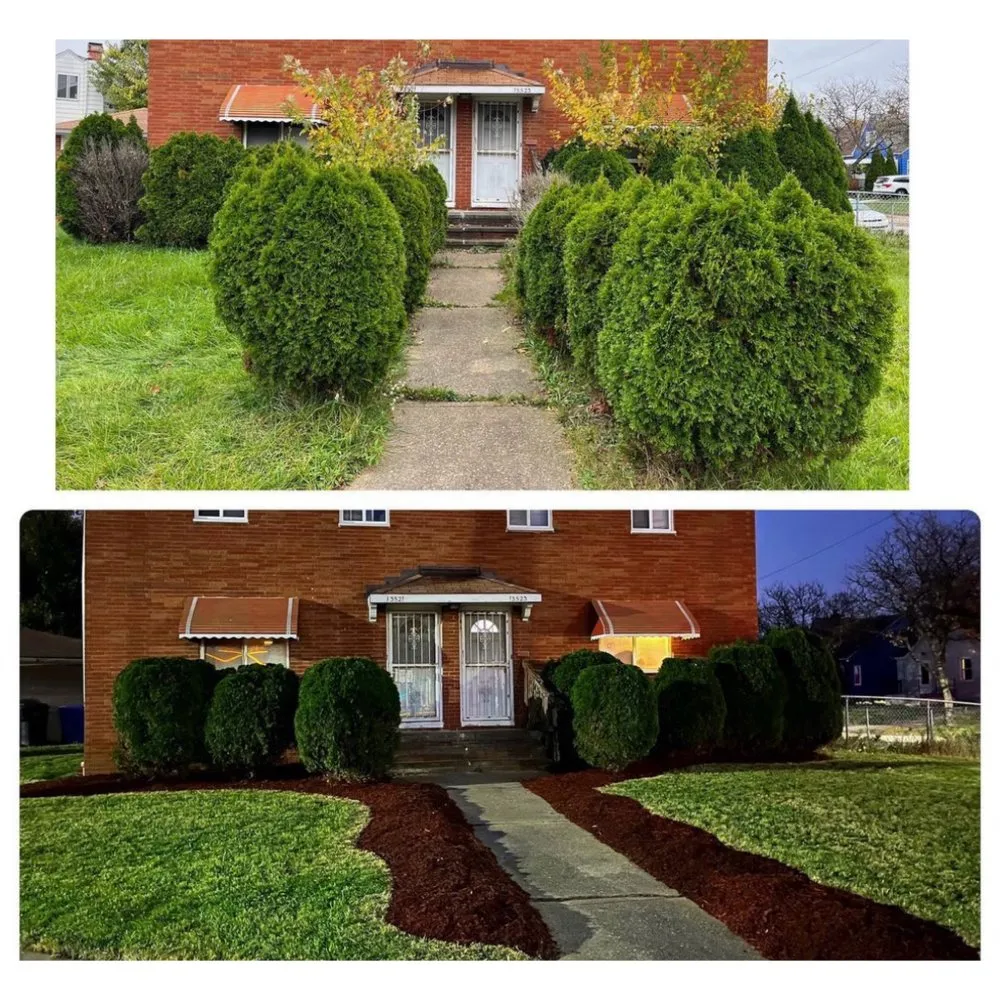 Trusted landscaping services in Woodmere, OH by DG Picture perfect landscaping