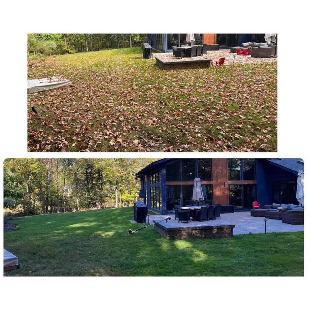 Top-rated landscape design for homes across Woodmere, OH - DG Picture perfect landscaping