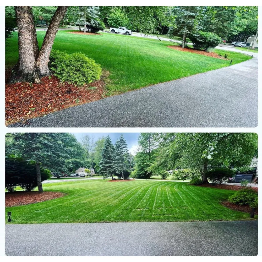 Professional yard maintenance experts serving Woodmere, OH - DG Picture perfect landscaping