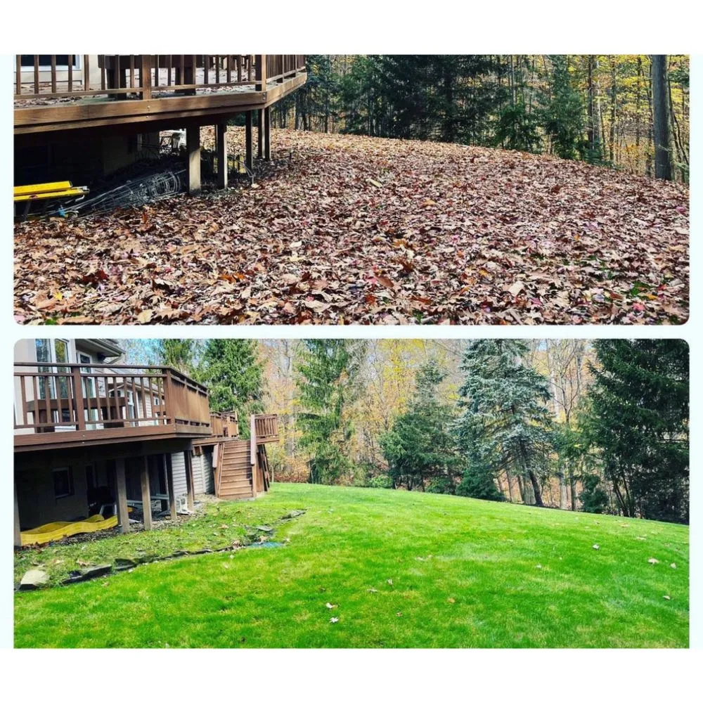 Trusted lawn mowing service in Woodmere, OH - DG Picture perfect landscaping