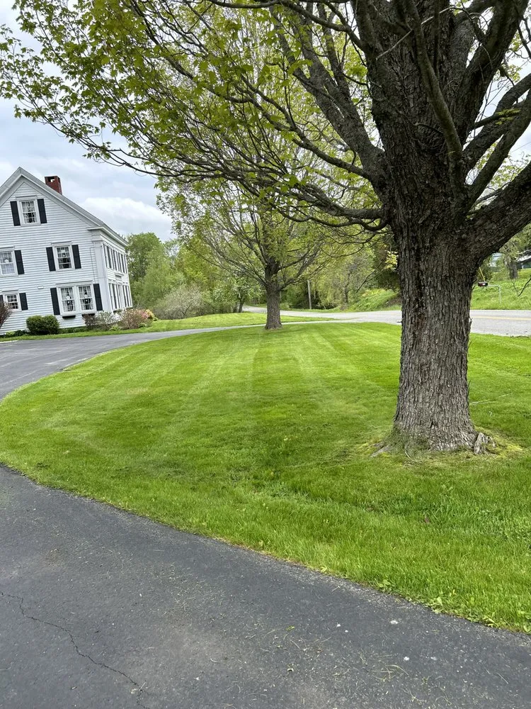 Expert yard cleanup service in Augusta, ME by DG Property Maintenance