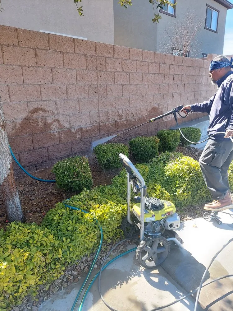 Affordable residential landscaping in Las Vegas, NV by Dg scapes