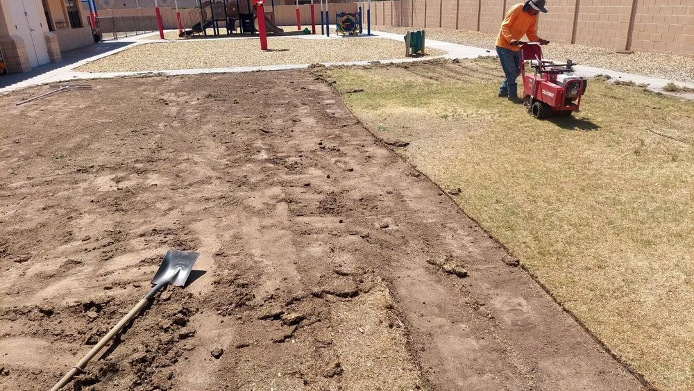 Affordable yard maintenance experts serving Maricopa, AZ - DG Services AZ