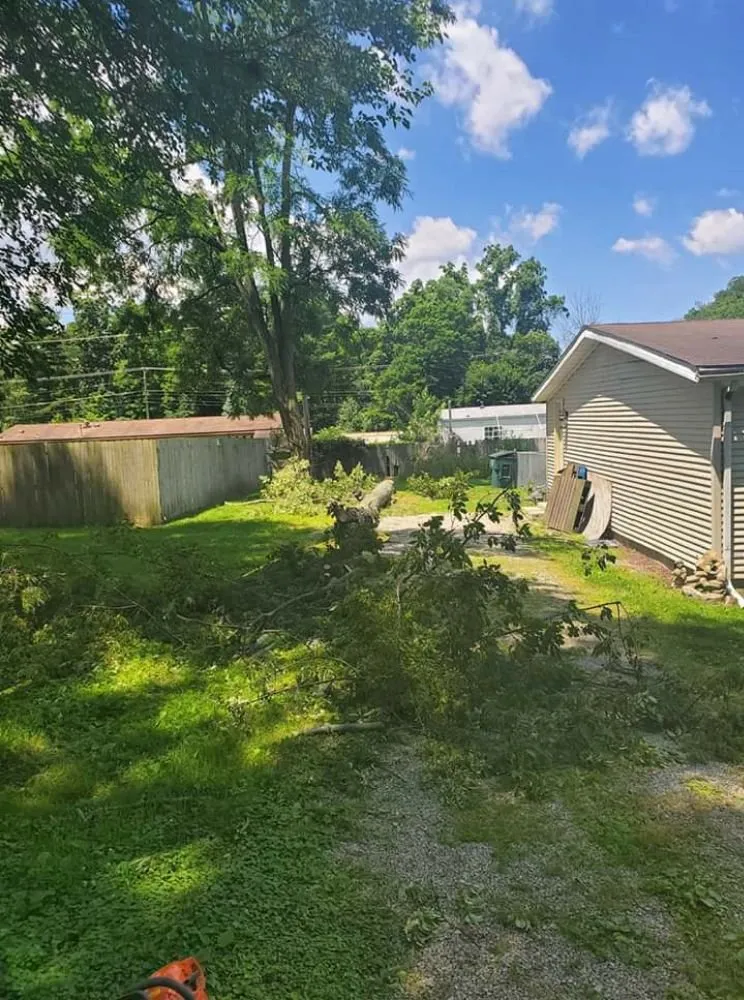 Affordable yard cleanup service for homes in Muncie, IN by DG Tree Trimming and Removal