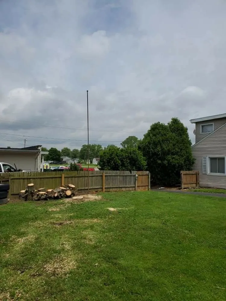 Trusted landscape design in Muncie, IN - DG Tree Trimming and Removal