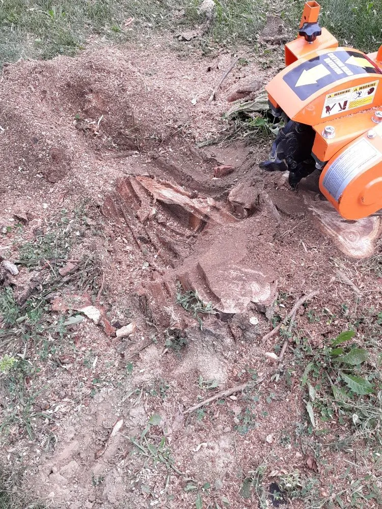 Local landscape installation for residential properties in Muncie, IN by DG Tree Trimming and Removal